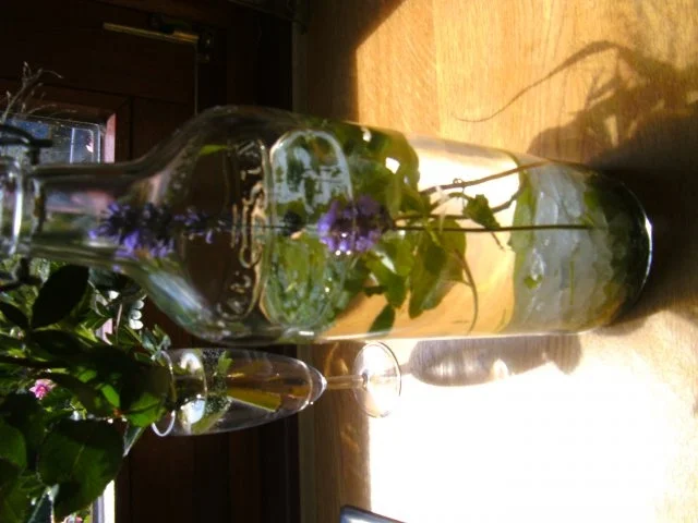 Minz-Schnaps-Minz Likör - Rezept - Bild Nr. 5