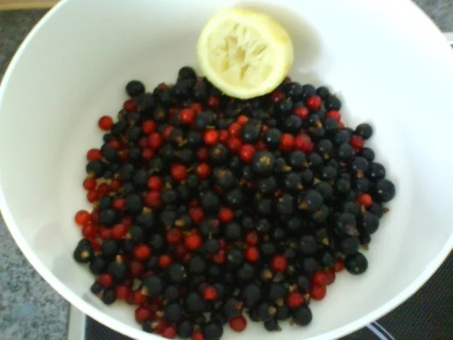 Schwarze Johannisbeermarmelade - Rezept - Bild Nr. 3