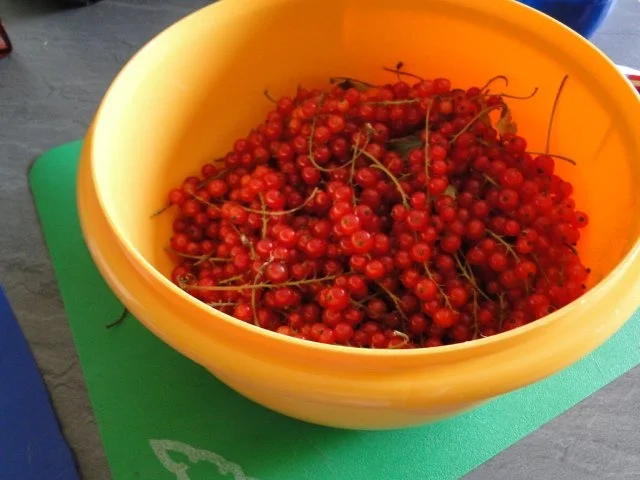 Johannesbeersmoothi und Buttermilchsmoothi, ich denke mir einfach die Sonne, hatte Japp - Rezept - Bild Nr. 2