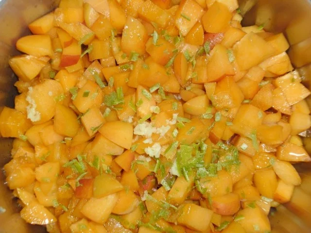 Rezept: Aprikosenmarmelade Bild Nr. 7 Aprikosenmarmelade - Rezept - Bild Nr. 7