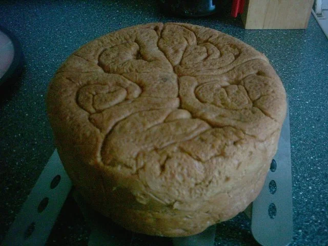 Rezept: Schnecken Brot Bild Nr. 11 Schnecken Brot - Rezept - Bild Nr. 11