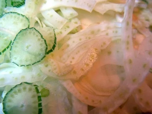 Seelachs mit knuspriger Haube an Fenchel-Tagilatelle - Rezept - Bild Nr. 4