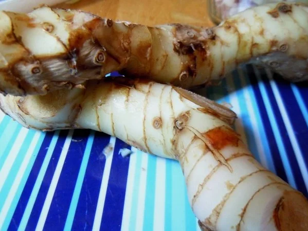 Seelachs mit knuspriger Haube an Fenchel-Tagilatelle - Rezept - Bild Nr. 5