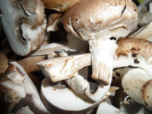 Rezept: Bayerisches Schwammerlgemüse mit Semmelknödeln Bild Nr. 4 Bayerisches Schwammerlgemüse mit Semmelknödeln - Rezept - Bild Nr. 4