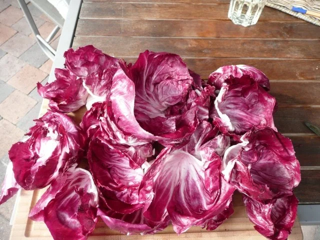 FLEISCH : Radicchiorouladen mit Hackfleisch-Spinat-Füllung - Rezept - Bild Nr. 3