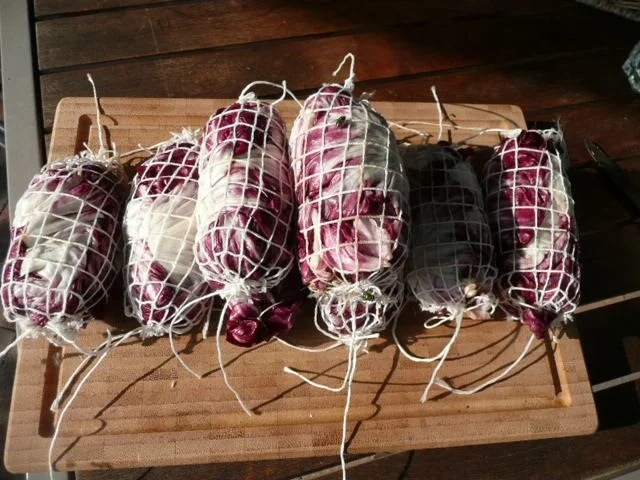 FLEISCH : Radicchiorouladen mit Hackfleisch-Spinat-Füllung - Rezept - Bild Nr. 5