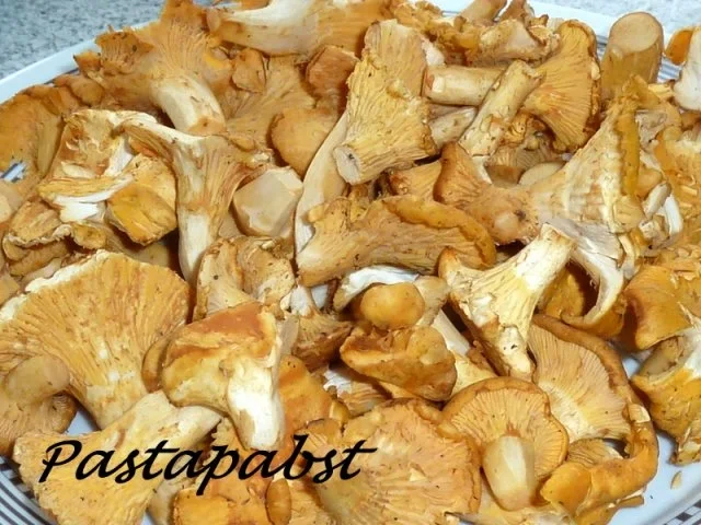 Rezept: Pfifferlingsragout mit Kartoffelklößen Bild Nr. 2 Pfifferlingsragout mit Kartoffelklößen - Rezept - Bild Nr. 2