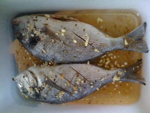 Marinierte Meerbrasse vom Grill auf Gemüse - Rezept - Bild Nr. 2