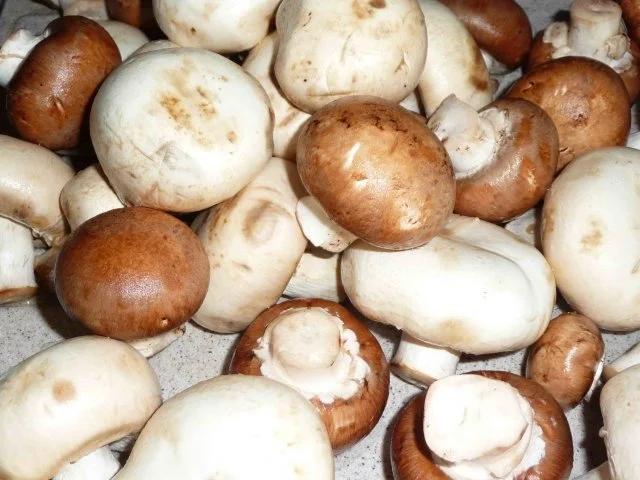 Rezept: Bunte Champignonpfanne mit Ei Bild Nr. 2 Bunte Champignonpfanne mit Ei - Rezept - Bild Nr. 2