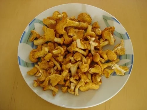 Rezept: Spaghetti mit Pfifferlingen und Schinken Bild Nr. 2 Spaghetti mit Pfifferlingen und Schinken - Rezept - Bild Nr. 2