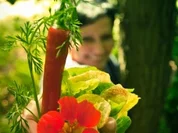 Salat "a la Freak"  to go - Rezept