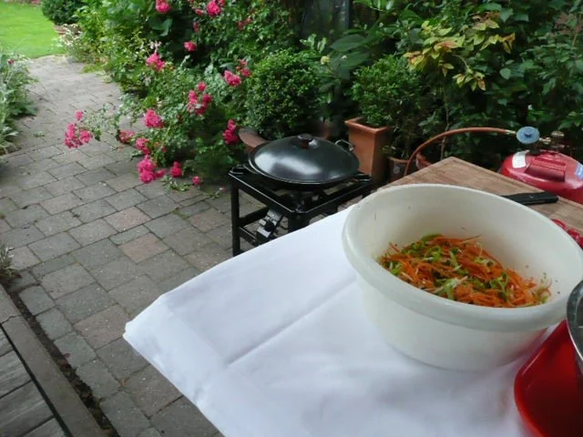 GEFLÜGEL / ASIATISCHE PFANNE ,mit viel Gemüse - Rezept - Bild Nr. 3