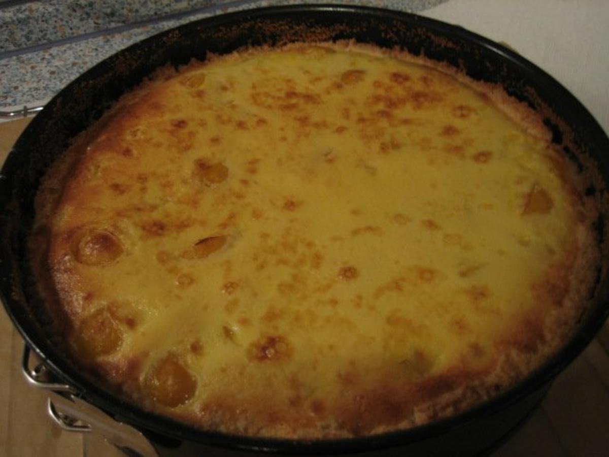 Gelber Pflaumenkuchen mit Vanillepudding - Rezept - Bild Nr. 2