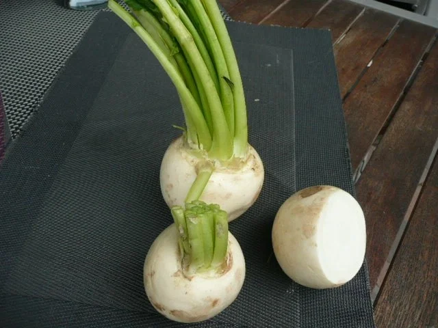 Rezept: GRILL:gefüllte Mairüben Bild Nr. 2 GRILL:gefüllte Mairüben - Rezept - Bild Nr. 2