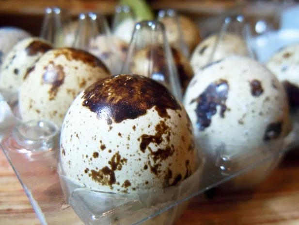 Wachtelspiegeleier auf fruchtigem Salat - Rezept - Bild Nr. 5