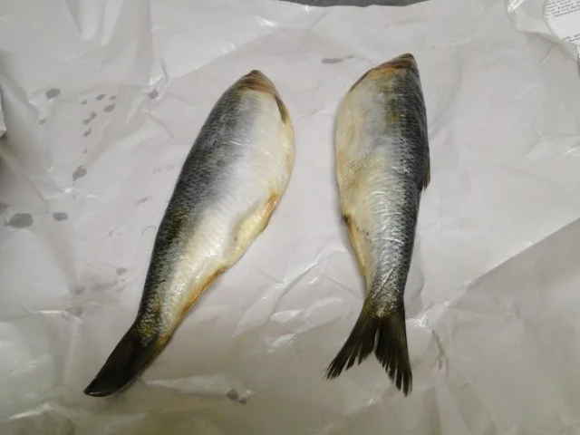 Rezept: Wir hatten Hunger auf heiße gerollte Heringsröllchen Bild Nr. 4 Wir hatten Hunger auf heiße gerollte Heringsröllchen - Rezept - Bild Nr. 4