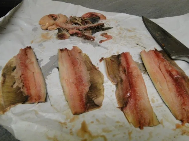 Rezept: Wir hatten Hunger auf heiße gerollte Heringsröllchen Bild Nr. 5 Wir hatten Hunger auf heiße gerollte Heringsröllchen - Rezept - Bild Nr. 5