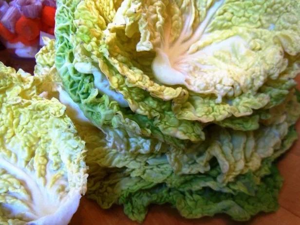 Rezept: Wirsing-Röllchen mit Basmati-Reis Bild Nr. 2 Wirsing-Röllchen mit Basmati-Reis - Rezept - Bild Nr. 2