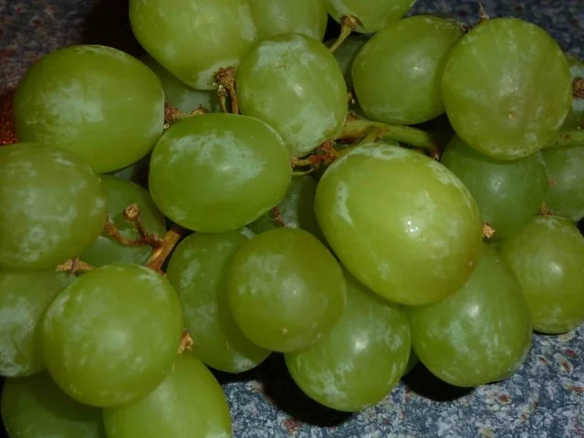 Rezept: Erdbeer-Käse-Eier-Platte Bild Nr. 4 Erdbeer-Käse-Eier-Platte - Rezept - Bild Nr. 4