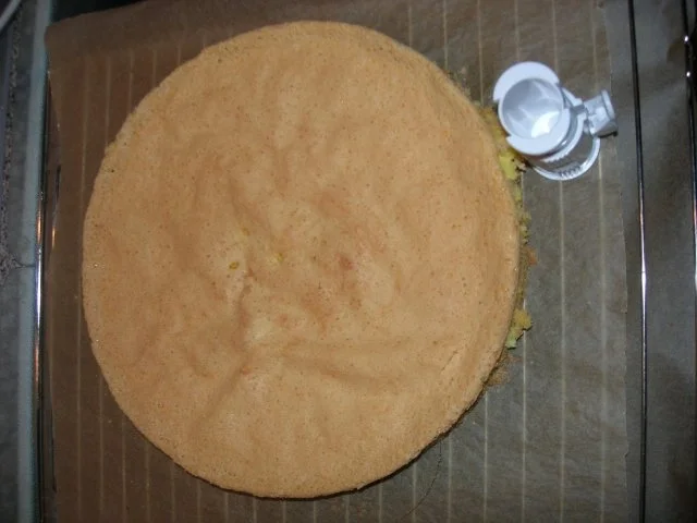 Erdbeertorte mit Schmand auf Biskuitboden - einfach und lecker! - Rezept - Bild Nr. 7