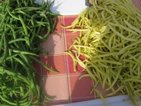 Grün-Gelber Bohnensalat mit Ziegenjoghurt-Zitrone-Dressing - Rezept - Bild Nr. 4