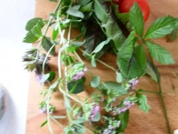 Zucchinigemüse - Rezept - Bild Nr. 3