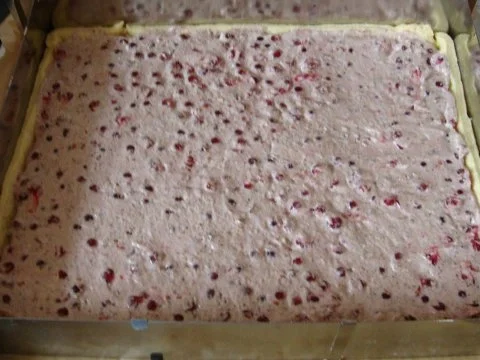 Rezept: großer Johannisbeerkuchen mit Nußbaiser Bild Nr. 7 großer Johannisbeerkuchen mit Nußbaiser - Rezept - Bild Nr. 7