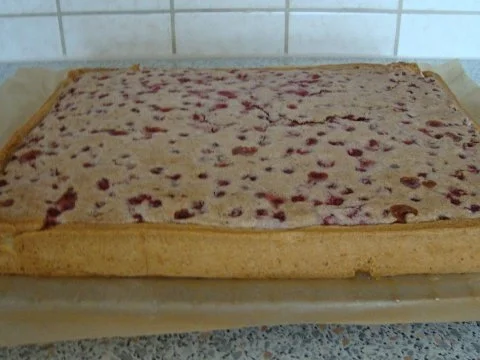 Rezept: großer Johannisbeerkuchen mit Nußbaiser Bild Nr. 8 großer Johannisbeerkuchen mit Nußbaiser - Rezept - Bild Nr. 8