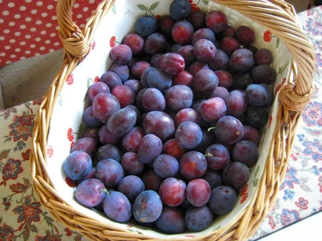 Quetschekuche vom Blech mit Streusel - Rezept - Bild Nr. 2