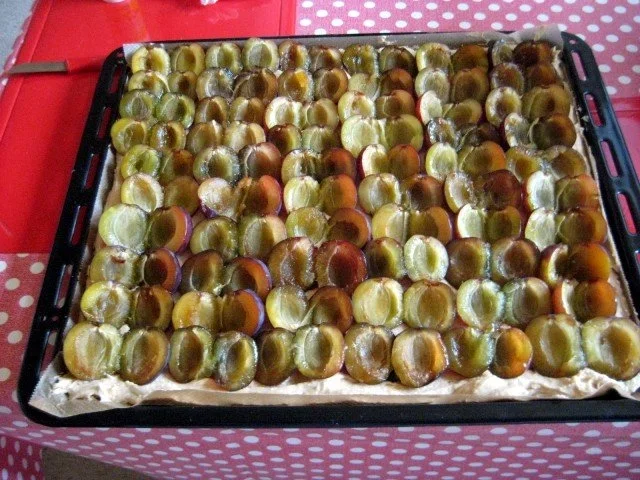 Quetschekuche vom Blech mit Streusel - Rezept - Bild Nr. 11