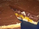 Schoko-Nektarinen-Torte - Rezept