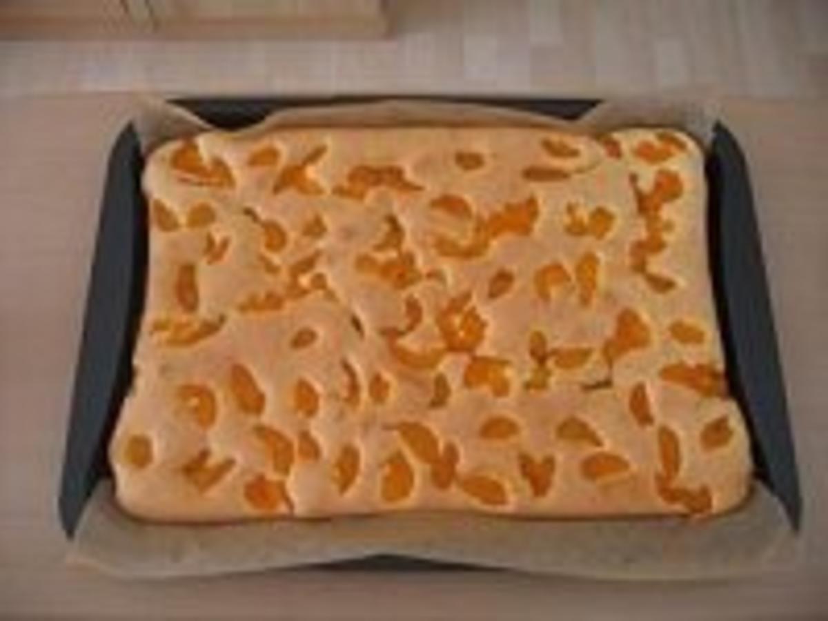 Fantakuchen nach Alfons Schuhbeck - Rezept Eingereicht von chefkoch546