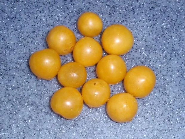 Rezept: Nudelsalat *Sommerlaune* Bild Nr. 7 Nudelsalat *Sommerlaune* - Rezept - Bild Nr. 7