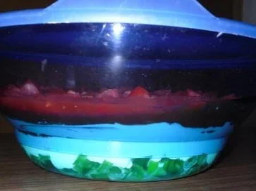 Erfrischender Schichtsalat mit Salsa - Rezept - Bild Nr. 2