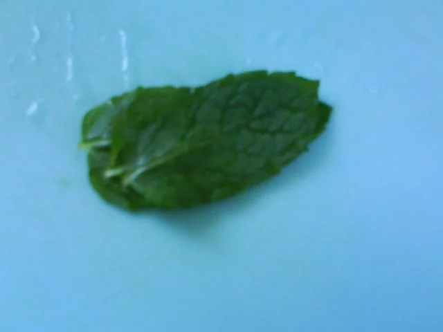 Zitronen-Minzbutter - Rezept - Bild Nr. 4