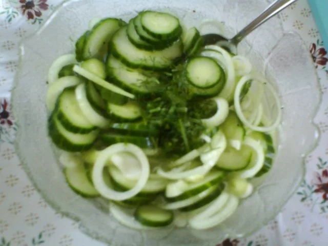 Rezept: Dillgurken Bild Nr. 8 Dillgurken - Rezept - Bild Nr. 8
