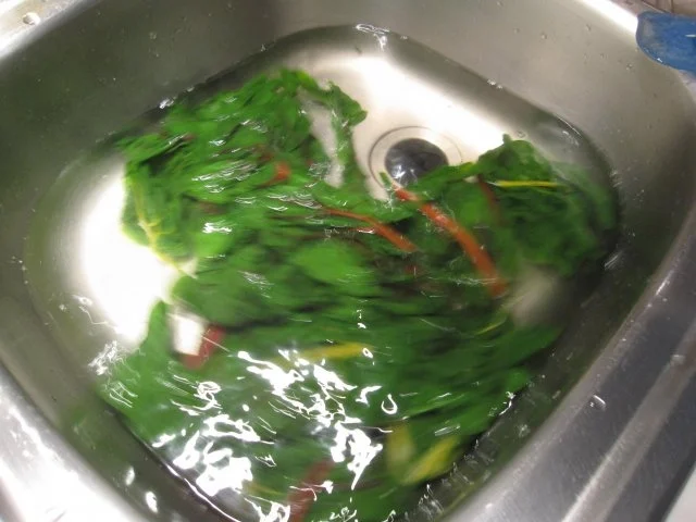 Rezept: Mangold mit Polenta (Maisgrieß) Bild Nr. 4 Mangold mit Polenta (Maisgrieß) - Rezept - Bild Nr. 4