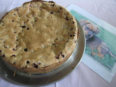 Johannisbeerkuchen oder auch Träubleskuchen (auf schwäbisch genannt) - Rezept