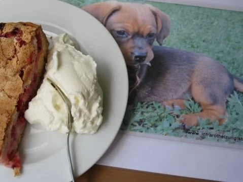 Johannisbeerkuchen oder auch Träubleskuchen (auf schwäbisch genannt) - Rezept - Bild Nr. 12