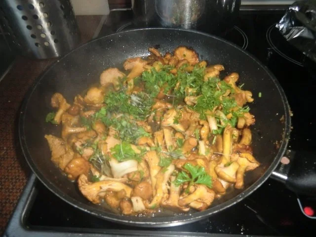 Putenschnitzel mit Parmesankruste und  Pfifferlingen mit Röstis - Rezept - Bild Nr. 2