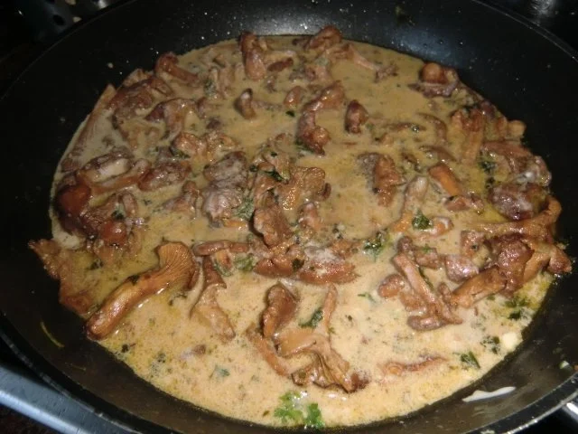 Putenschnitzel mit Parmesankruste und  Pfifferlingen mit Röstis - Rezept - Bild Nr. 3