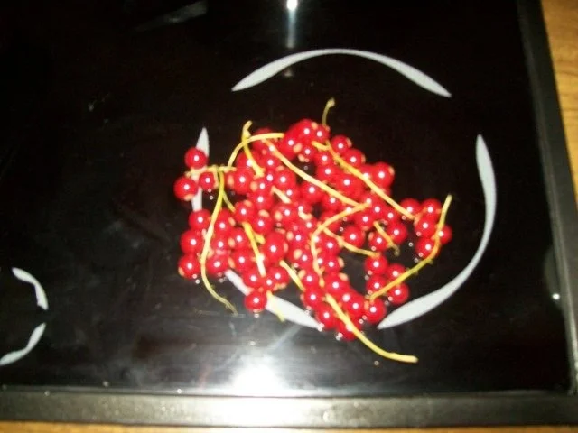 Rezept: Quark- Dessert mit verschiedenen Früchten Bild Nr. 3 Quark- Dessert mit verschiedenen Früchten - Rezept - Bild Nr. 3