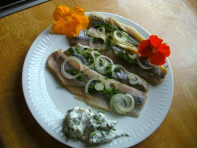 Rezept: Matjes mit Kräuterquark Matjes mit Kräuterquark - Rezept