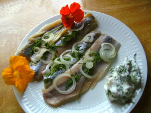 Rezept: Matjes mit Kräuterquark Bild Nr. 7 Matjes mit Kräuterquark - Rezept - Bild Nr. 7