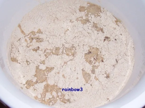 Rezept: Backen: Vollkorn-Zwiebel-Brötchen Bild Nr. 3 Backen: Vollkorn-Zwiebel-Brötchen - Rezept - Bild Nr. 3