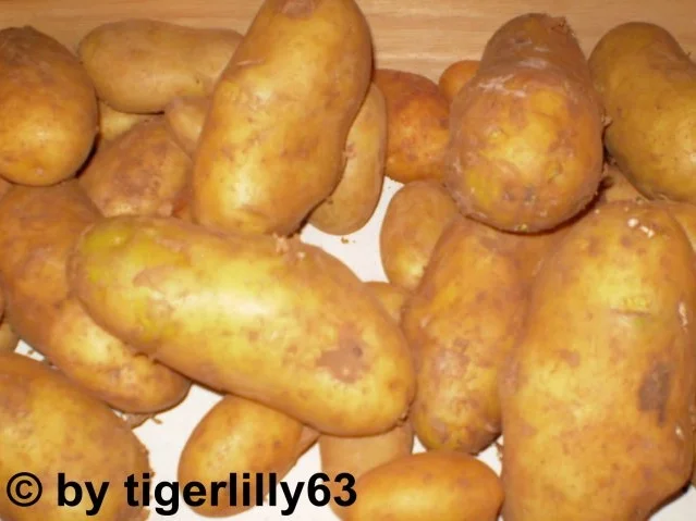 Rezept: Spanische Kartoffeltortilla Spanische Kartoffeltortilla - Rezept