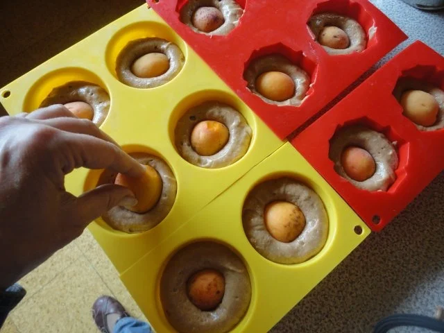 Rezept: Marillen / Aprikosen Blümchen Bild Nr. 6 Marillen / Aprikosen Blümchen - Rezept - Bild Nr. 6