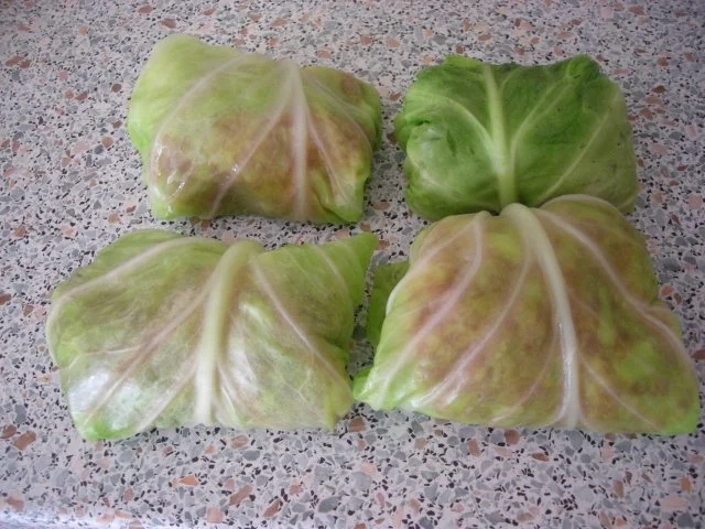 Rezept: Spitzkohl gefüllt Bild Nr. 6 Spitzkohl gefüllt - Rezept - Bild Nr. 6