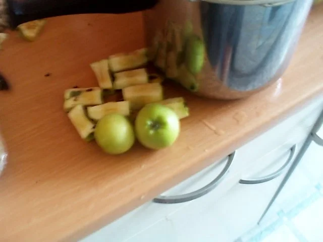 selbstgemachtes Apfelmus - Rezept - Bild Nr. 2