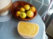 Rezept: selbstgemachtes Apfelmus selbstgemachtes Apfelmus - Rezept